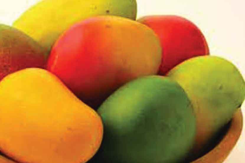 एप्रिलअखेर अमृत पायरीची आवक अत्यल्पच
