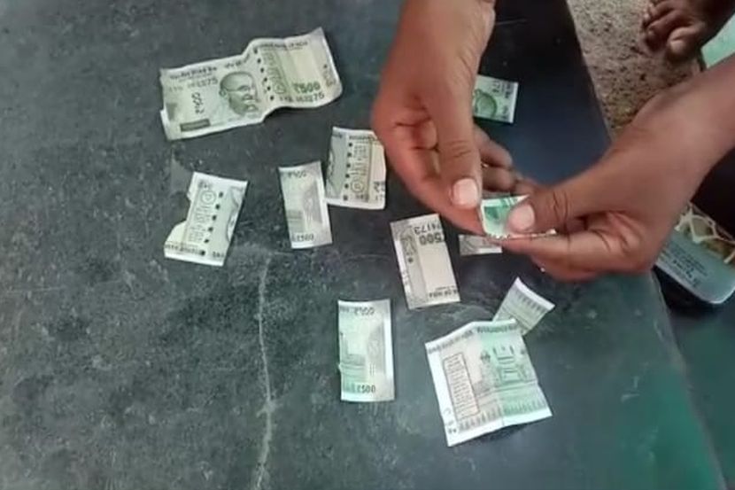 पाचशे रुपयांच्या नोटांची घडी घालताच पडले तुकडे, सांगलीतील धक्कादायक प्रकार