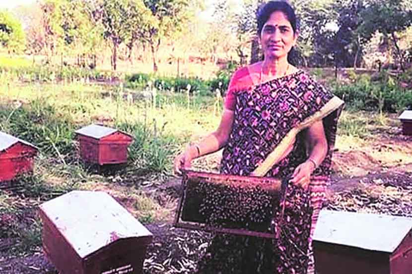 फुलोऱ्याच्या वेळापत्रकाची देशात पहिल्यांदाच निर्मिती
