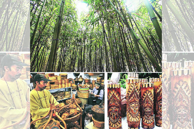 देशातल्या एकूण बांबू उत्पादनापकी तब्बल ६६ टक्के उत्पादन आसाममध्ये होतं.
