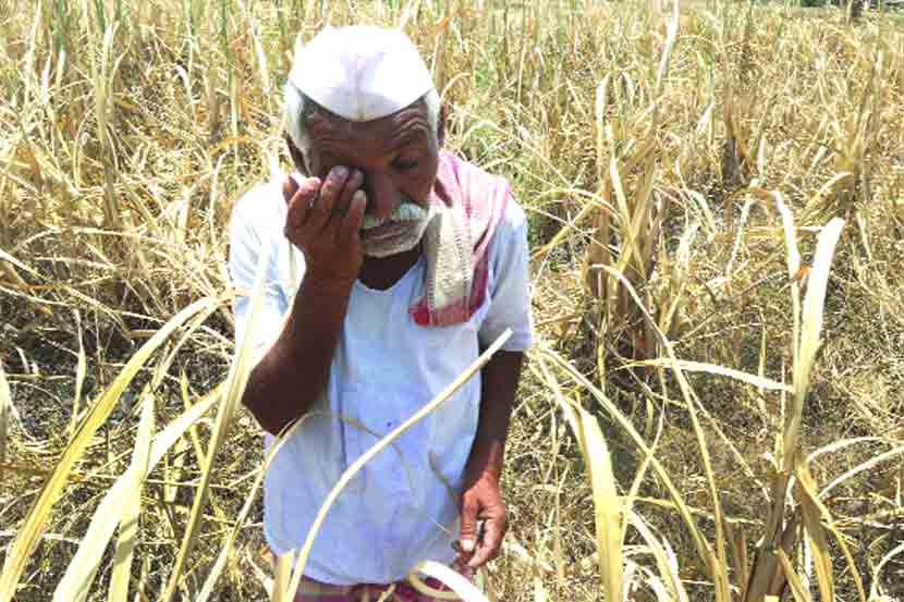 प्रतिनिधिक छायाचित्र