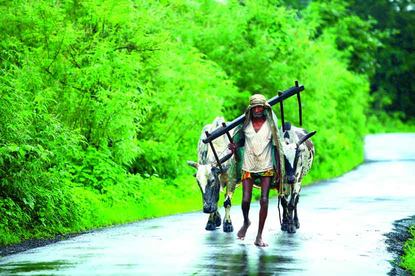 निकष शिथिल केल्यामुळे सव्वा कोटी शेतकऱ्यांना ‘किसान सन्मान’चा लाभ