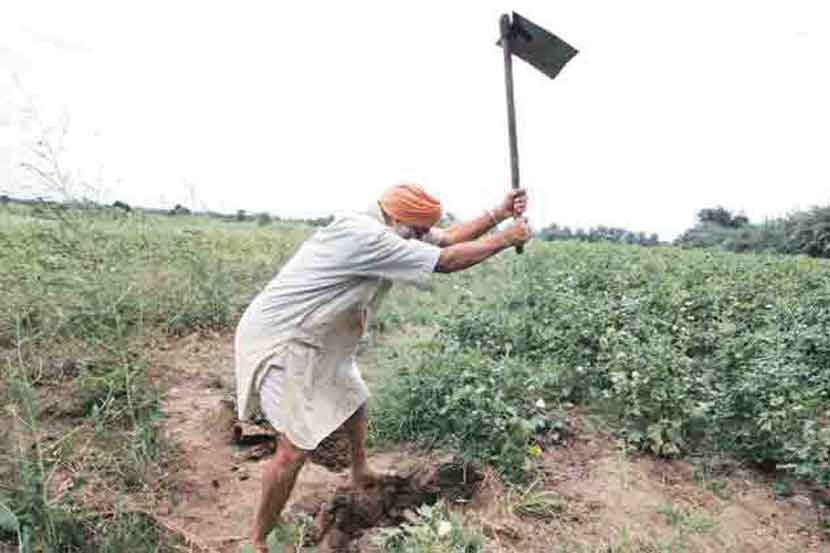 संग्रहित छायाचित्र