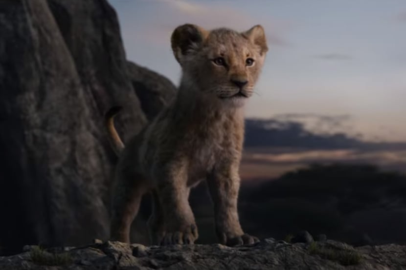 The Lion King Trailer : शाहरुखच्या आवाजातील ‘सिम्बा’ परत येतोय!