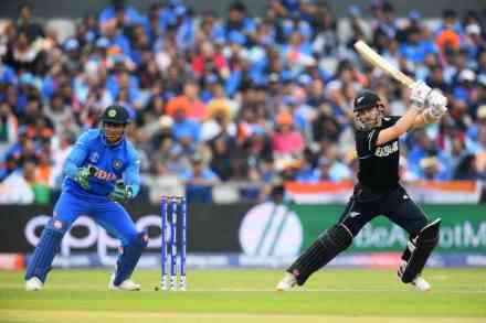 World Cup 2019 : कर्णधार विल्यमसनची एकाकी झुंज, पाँटींगसह दिग्गज कर्णधारांना टाकलं मागे