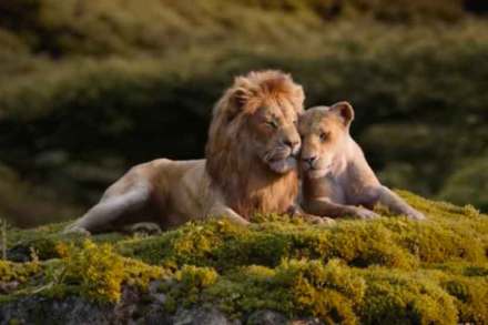 The Lion King : संगणकीय अद्भुत आविष्कार