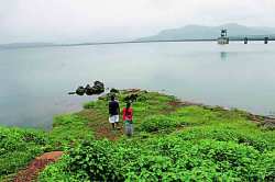 मोरबे धरण ८० टक्के भरले