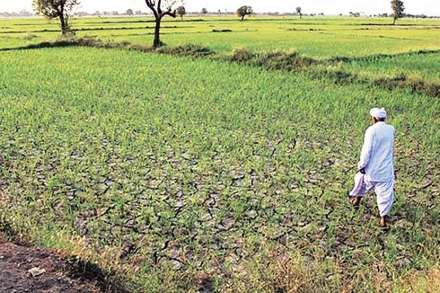 मराठवाडा : दुष्काळ पुन्हा उंबरठय़ावर