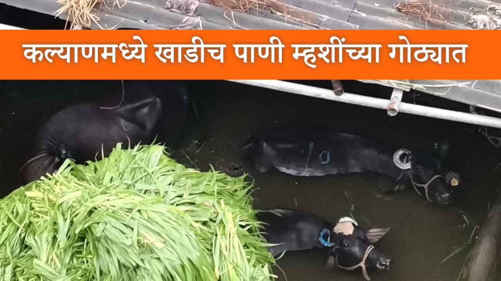 बदलापूरहून मुंबईच्या दिशेने येणारी लोकल सेवा बंद