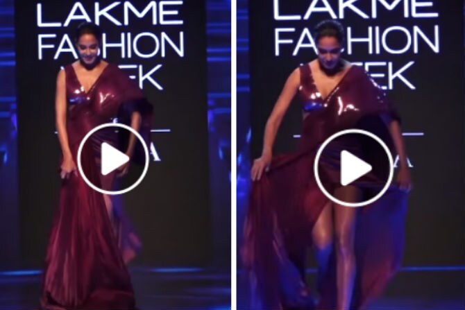 lisa haydon