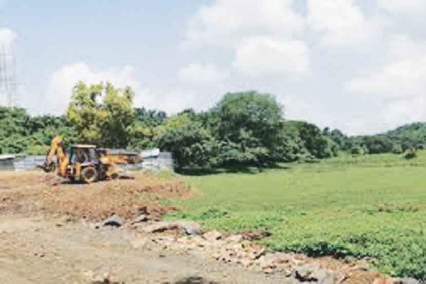 मेट्रो कारशेड झाडांच्या मुळावर