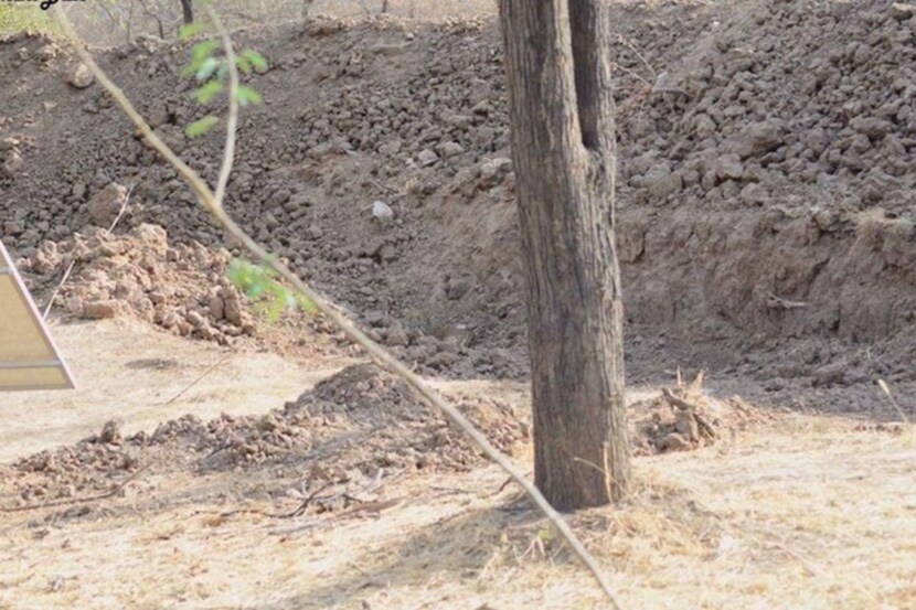 Spot A Leopard