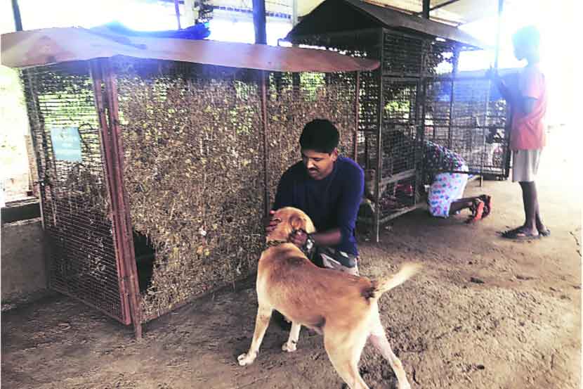 सर्वकार्येषु सर्वदा २०१९ : प्राण्यांसाठी मायेचा ‘पाणवठा’