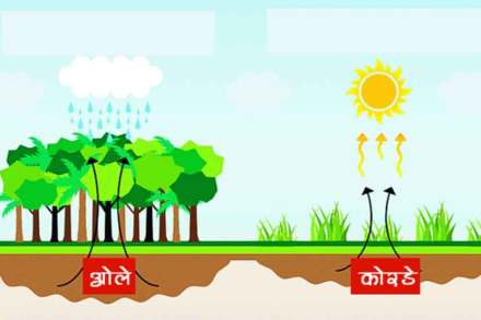 (संग्रहित छायाचित्र)