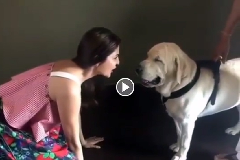 Video : अनुष्का कुत्र्याला चिडवताना अचानक घडला ‘हा’ प्रकार