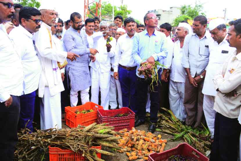बागलाण तालुक्यात नुकसानग्रस्त पिकांची पाहणी करताना राज्यमंत्री सदाभाऊ खोत. समवेत आ. दिलीप बोरसे आणि शेतकरी.