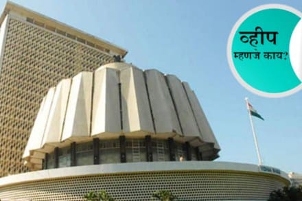 व्हीप म्हणजे काय