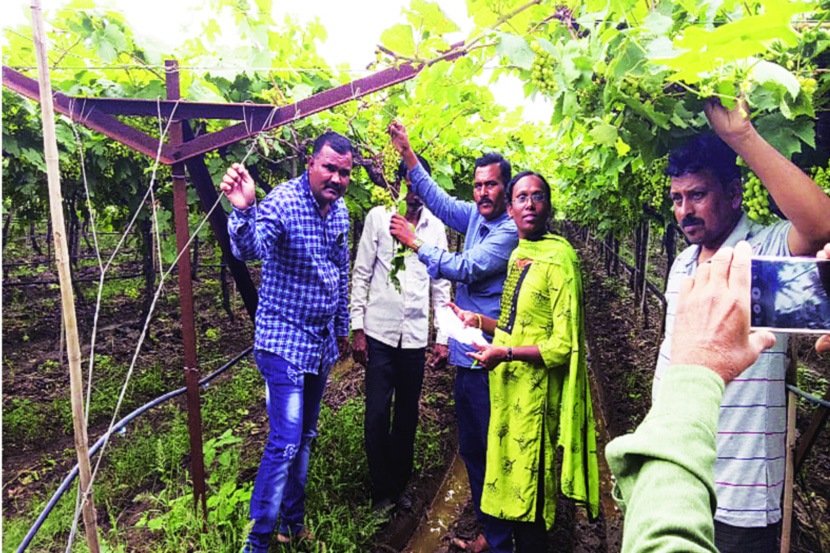 पंचनाम्यांसाठी ड्रोन, उपग्रहाधारित छायाचित्रांचा वापर करा