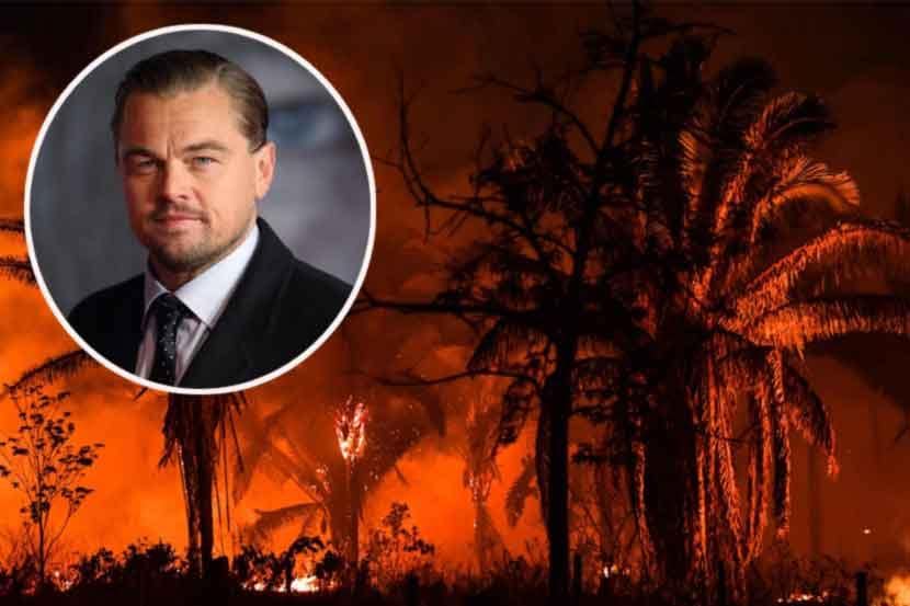 Amazon rainforest fires: ब्राझिलच्या राष्ट्रपतींना लिओनार्डोने दिलं उत्तर