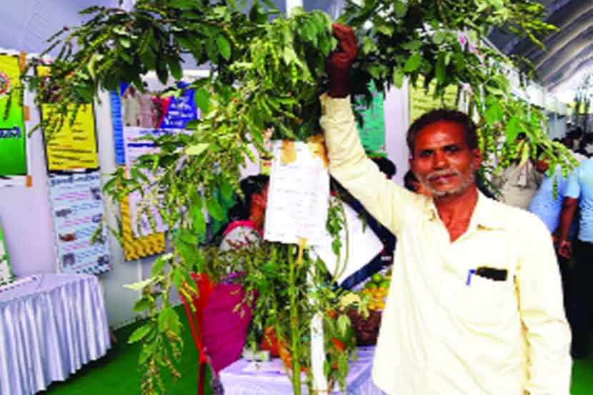 तुरीसह प्रयोगशील राजेंद्र ताले 
