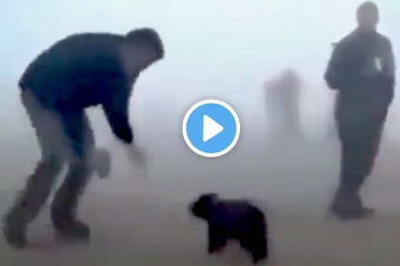 Video : आगीतून वाचवले अस्वलाच्या पिल्लाचे प्राण; पुढे जे झालं ते वाचून व्हाल भावूक