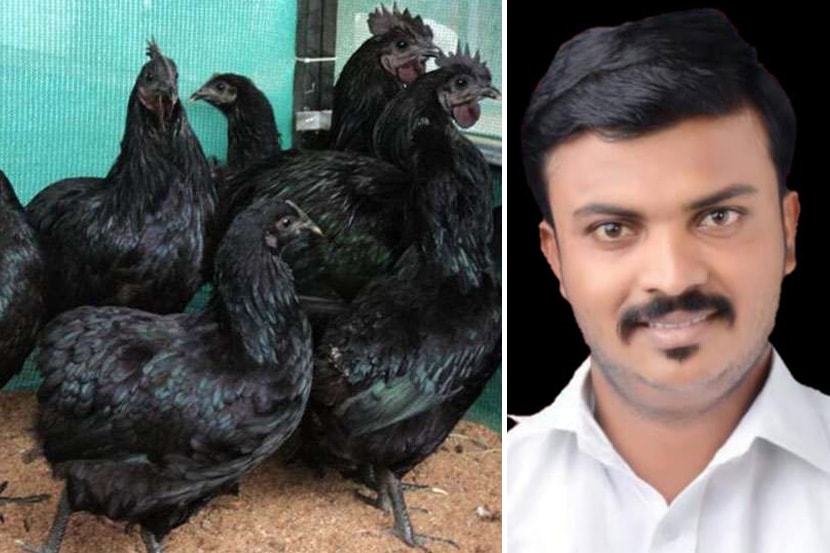 कोल्हापुरात कडकनाथ कोंबडी घोटाळ्याचा पहिला बळी, तरुण शेतकऱ्याची आत्महत्या