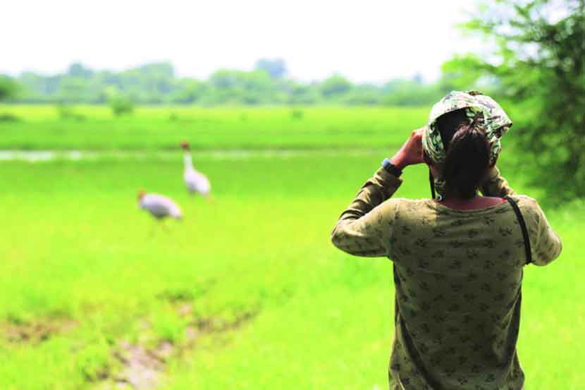 संशोधन मात्रे : बहुत स(सा)रस हैं भाई!