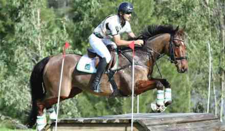 पाक ऑलिम्पिक घोडेस्वाराची आगळीक, स्पर्धेतल्या घोड्याला ‘आझाद काश्मीर’ नाव दिल्यामुळे वाद