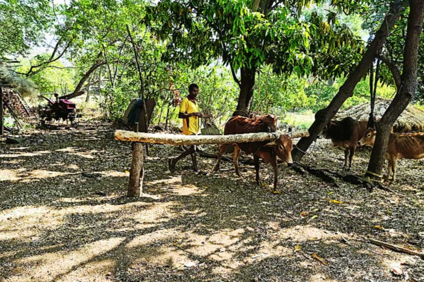 दोन तप सुविधांचा जप