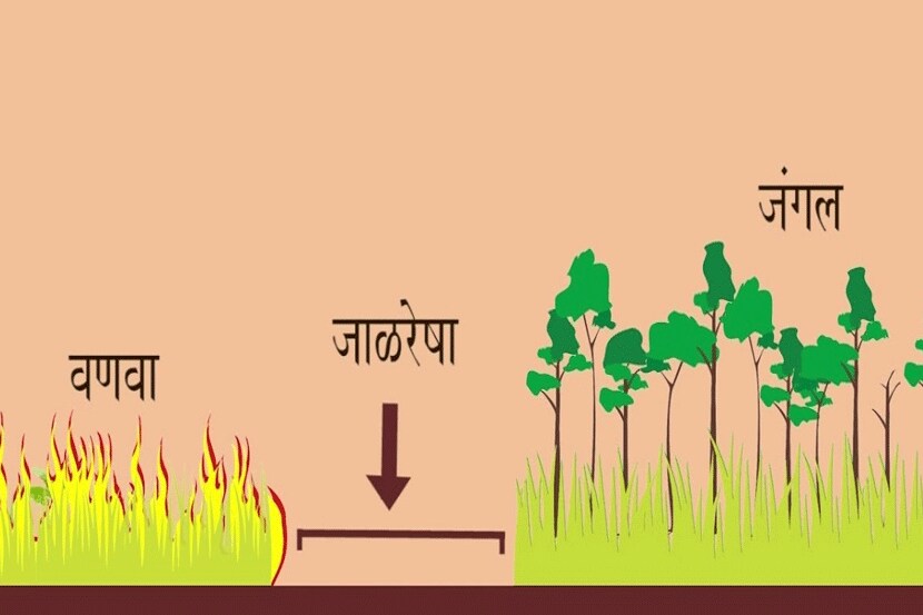 संग्रहित छायाचित्र