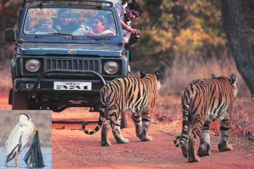 आरेला कारे म्हणणारे हवेत!