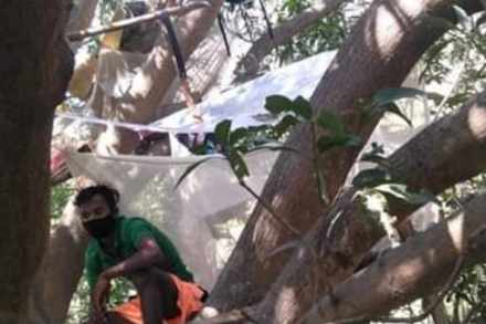 पुरुलिया (प.बंगाल): घरात स्वतंत्र खोली नसल्याने येथील ७ मजुरांनी स्वतःला झाडावर क्वारंटाइन करुन घेतलं आहे.