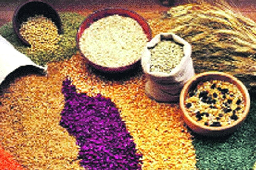 शहरासह जिल्ह्य़ात पुरेसा धान्यसाठा