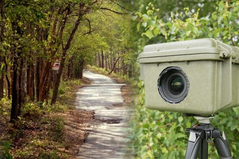 लॉकडाउनमध्ये चोरट्यांनी नवेगाव नागझिरा व्याघ्र प्रकल्पातून लंपास केले ८ कॅमेरा ट्रॅप