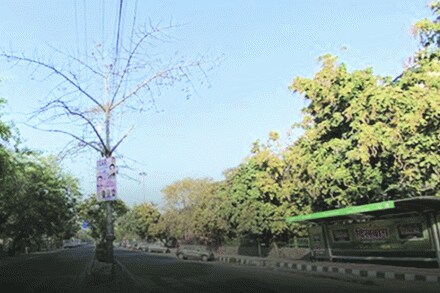 संग्रहित छायाचित्र