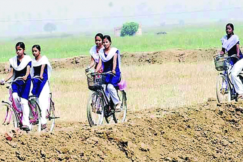  संग्रहित छायाचित्र