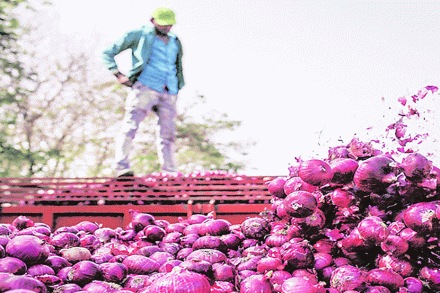  संग्रहित छायाचित्र