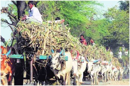 संग्रहीत छायाचित्र