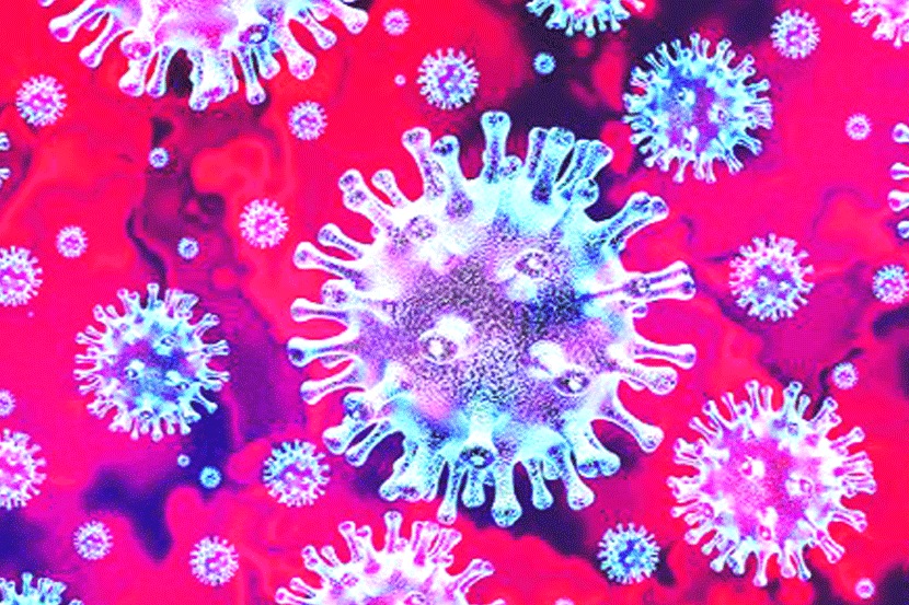 Coronavirus : पालघर जिल्ह्य़ात आणखी २० रुग्णांची वाढ