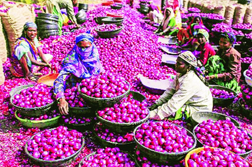  संग्रहित छायाचित्र