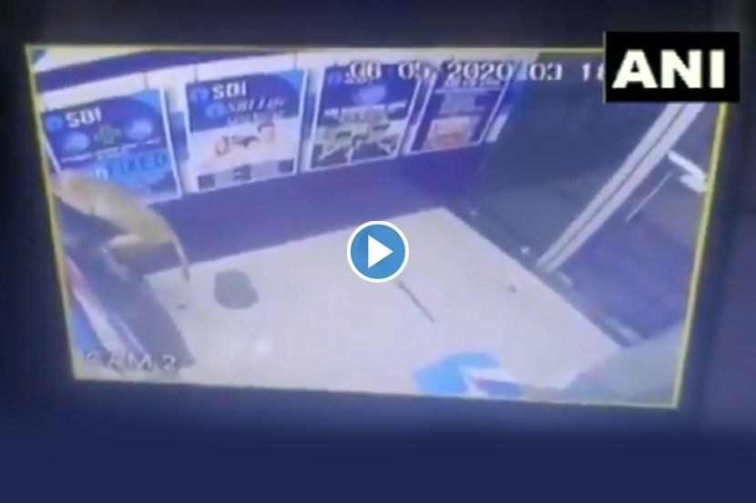Video : ‘लॉकडाउन’दरम्यान शुकशुकाट असलेल्या एसबीआयच्या ATM मध्ये घुसलं माकड, आणि…