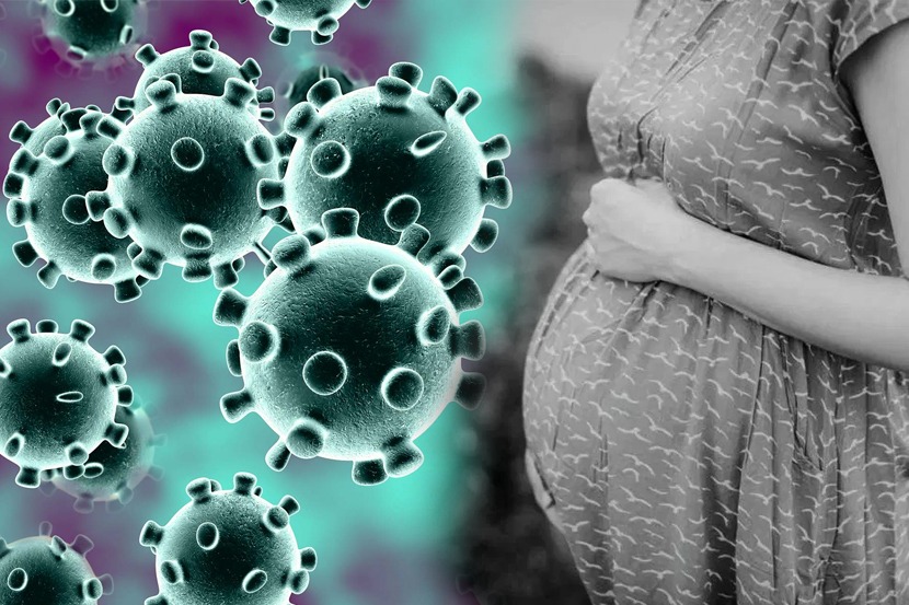Coronavirus : गर्भवतींना करोनाचा विळखा!