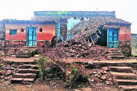  संग्रहित छायाचित्र