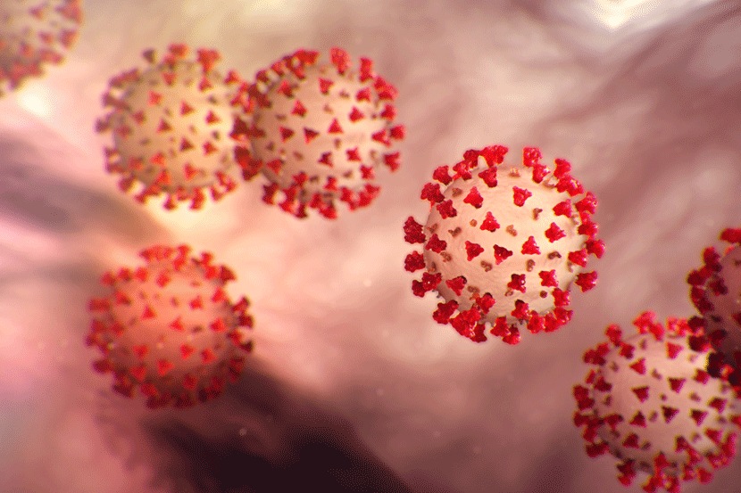 Coronavirus : करोनामुक्त तालुक्यात सापडला रूग्ण