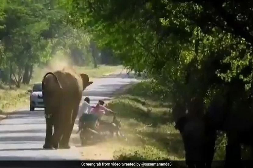 Viral Video : संतापलेल्या हत्तीसमोर दुचाकी आली अन् …