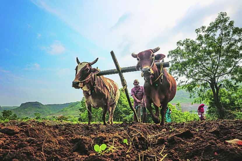 ११ लाख शेतकरी कर्जमाफीपासून वंचित