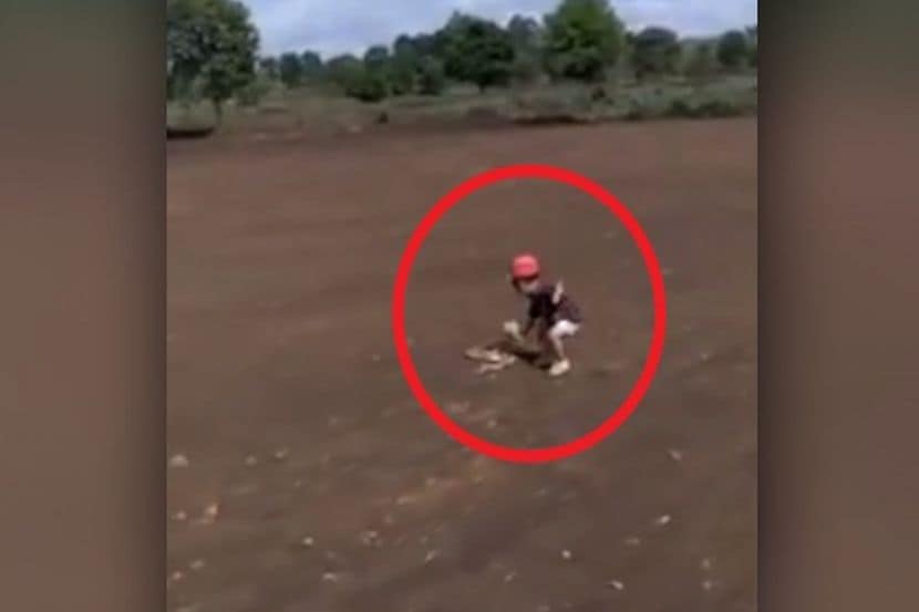 VIDEO: वडील मोबाइलवर व्हिडीओ शूट करत असतानाच चिमुकल्याने पकडलं सापाचं शेपूट, अन् त्यानंतर…