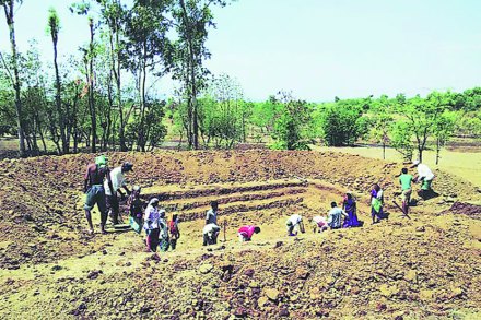 संग्रहित छायाचित्र