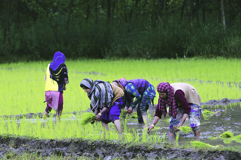 संग्रहित छायाचित्र