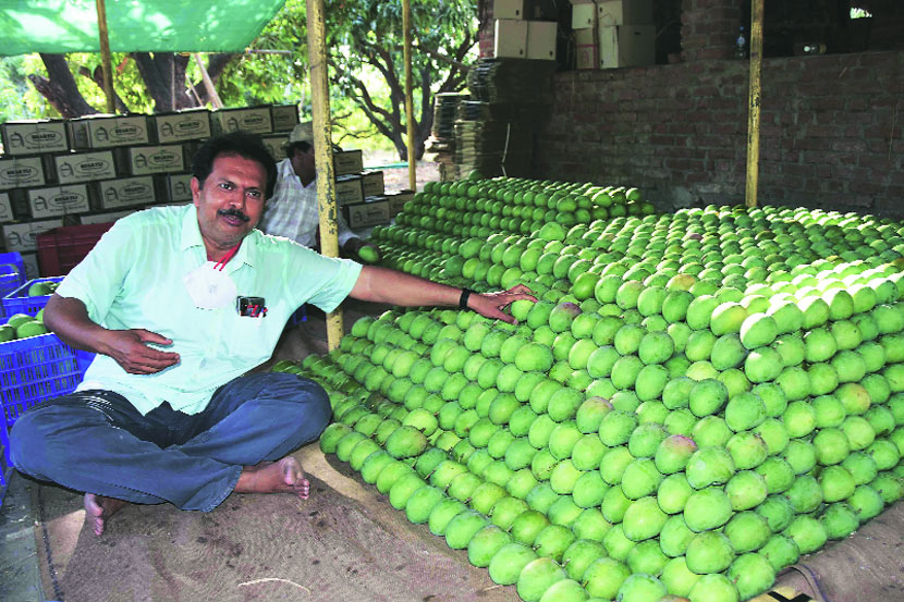 संग्रहित छायाचित्र